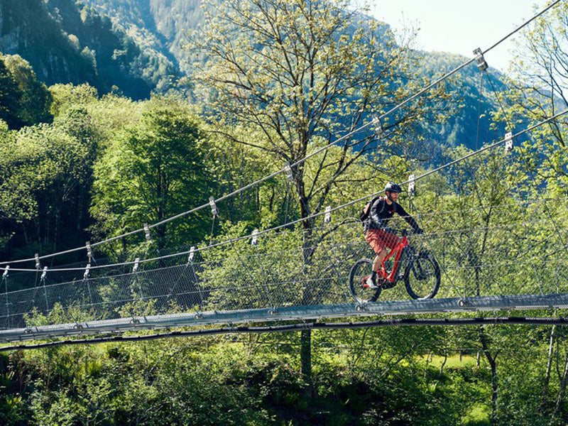 Man riding across a suspension bridge on his Riese and Muller Delite Mountain electric bike.