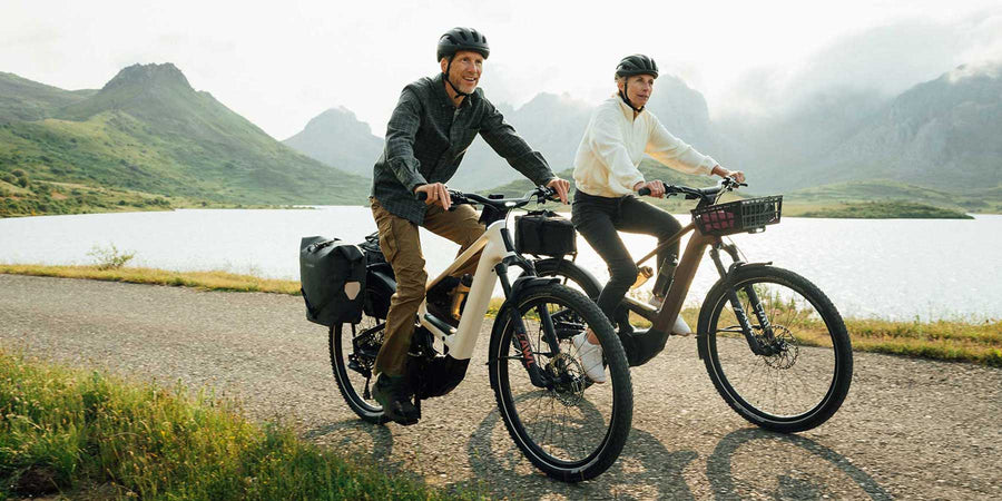 Multi-purpose Electric Bikes