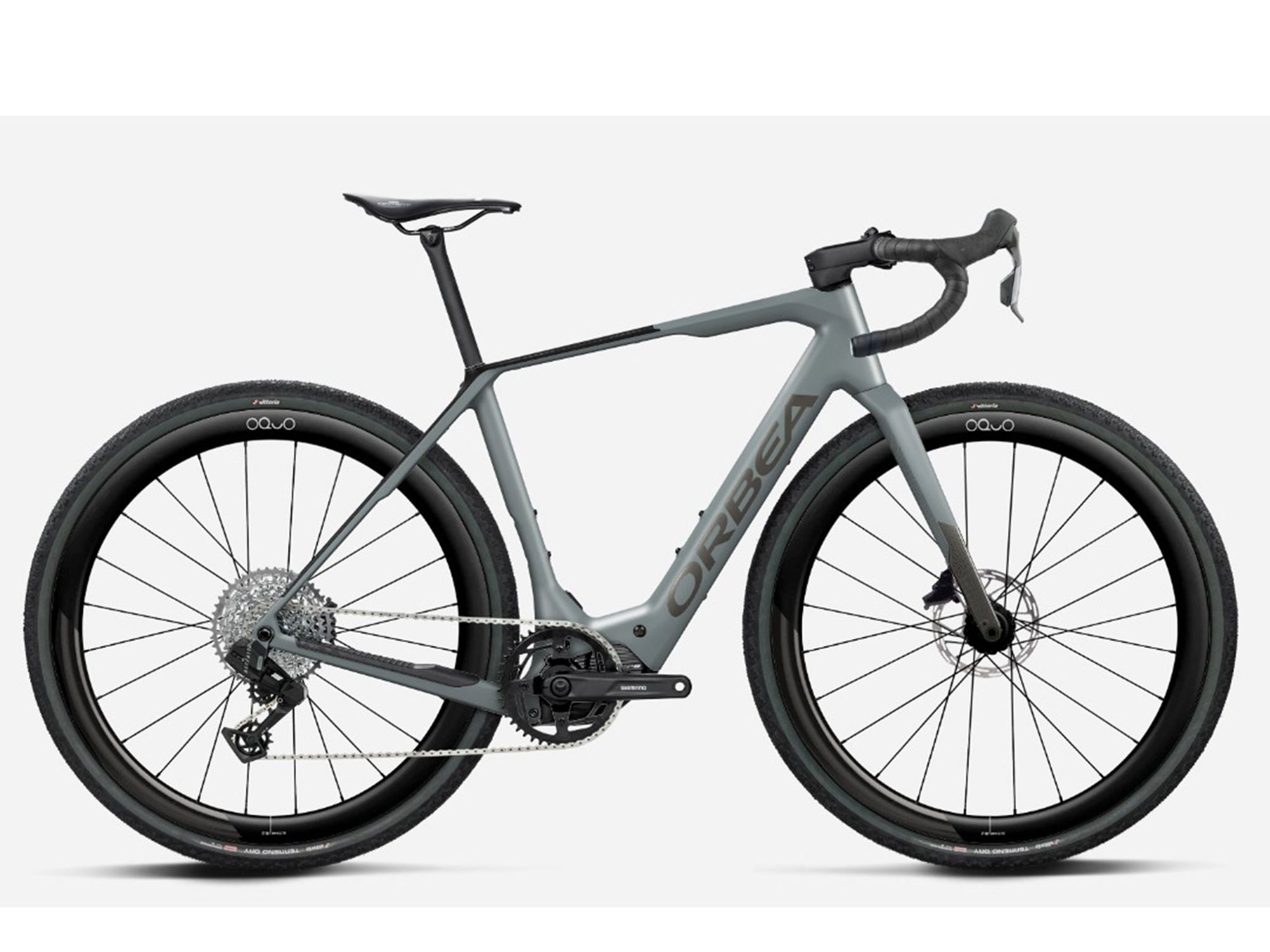 Denna M31E Custom Carbon