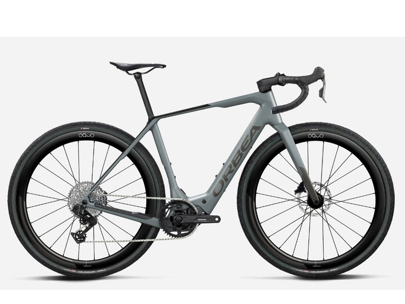 Denna M31E Custom Carbon