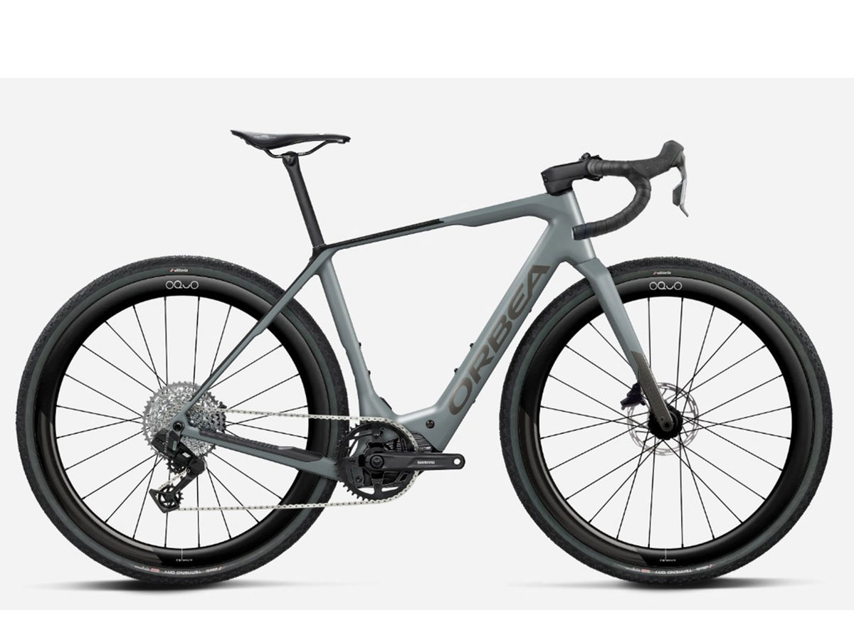 Denna M31E Custom Carbon