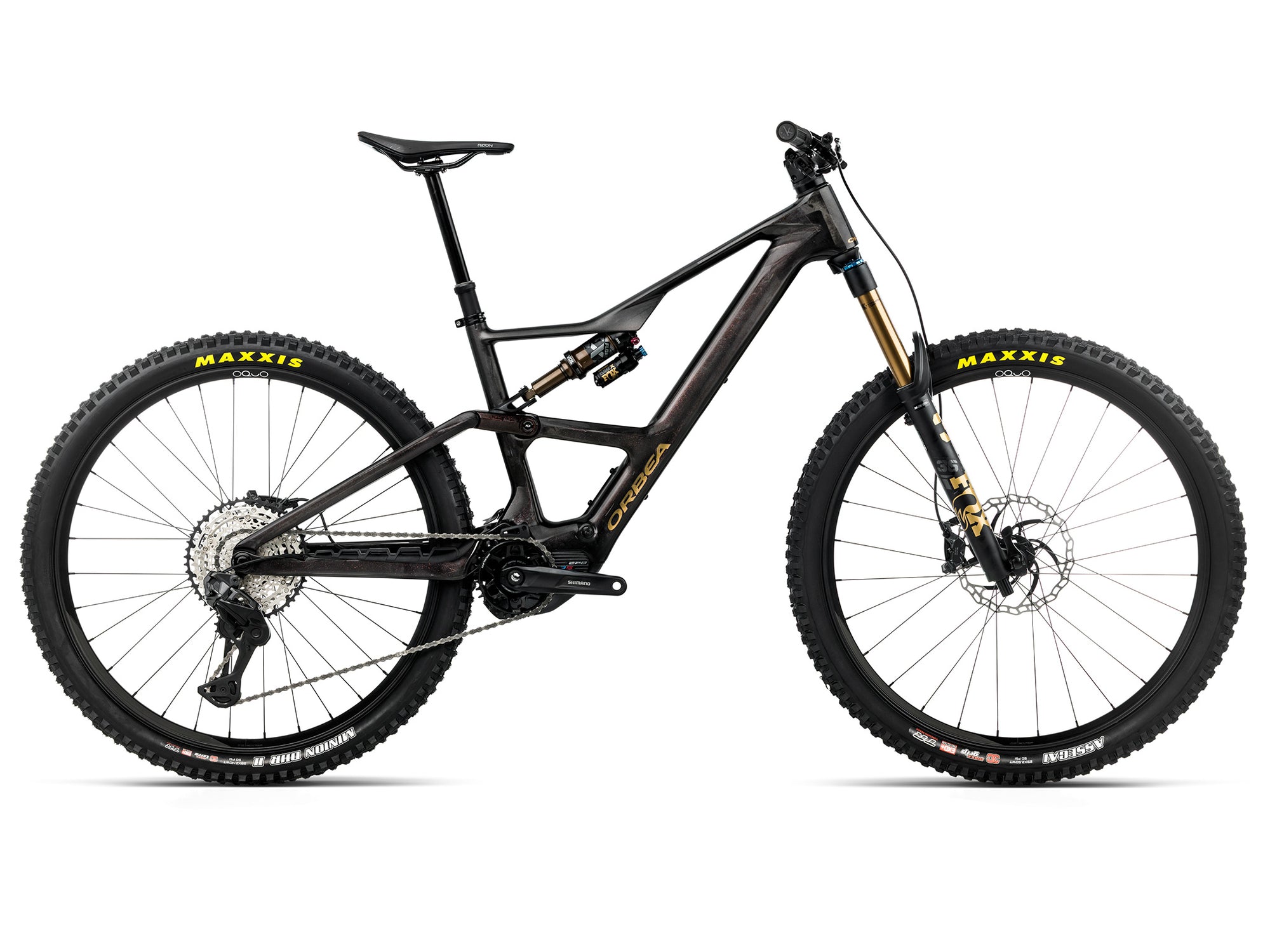 Rise LT M10