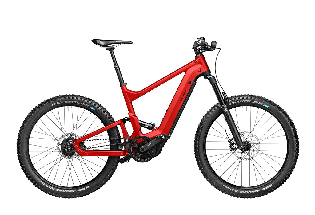 Riese and Muller Delite Mountain in Chili Matt.