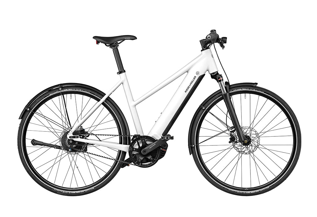 Roadster bike 2025 for sale